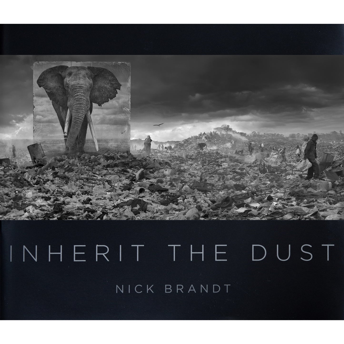 INHERIT THE DUST